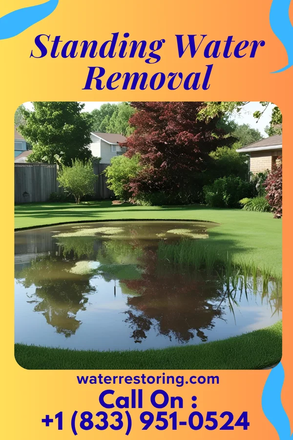 Standing Water Removal in Plattsburgh, NY